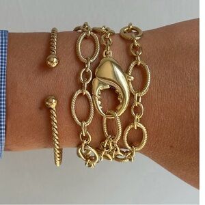 Alex & Ani lobster claw bracelet